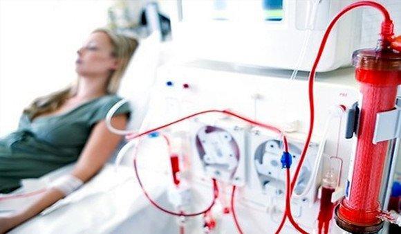 Cursos Online Gratuitos Hospital Albert Einstein 2016 3 Cursos Online Gratuitos Hospital Albert Einstein 2016 (imagem ilustrativa)