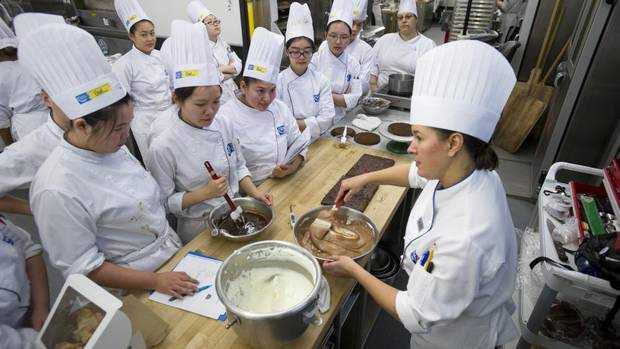 Curso de gastronomia básica online grátis