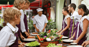 Curso de gastronomia básica online grátis